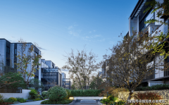 为机场存正在其发卖价钱才会如斯亲平易近